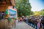 Wiener Wiesn 14087171