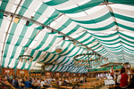 Wiener Wiesn 14087242