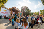 Wiener Wiesn 14087286