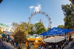 Wiener Wiesn 14087334