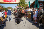 Wiener Wiesn 14090235