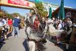 Wiener Wiesn 14090236