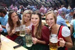 Wiener Wiesn 14096382