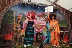 Wiener Wiesn 14096383