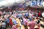 Wiener Wiesn 14096540