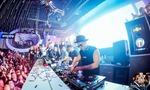 Timmy Trumpet live 14121699