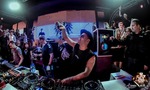 Timmy Trumpet live 14121744