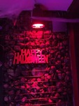 Halloween Scare 14129971