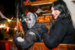 Halloween ein Abenteuer im Prater 14131763