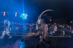 NIGHT of HELL 2017 II Krampuslauf & Festival 14168180