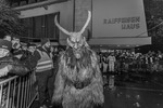 NIGHT of HELL 2017 II Krampuslauf & Festival 14168204