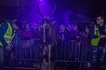 NIGHT of HELL 2017 II Krampuslauf & Festival 14168279