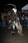 Salzkammergut - Krampuslauf 2017 14179156