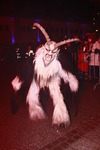 Salzkammergut - Krampuslauf 2017 14179161