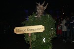 Salzkammergut - Krampuslauf 2017 14179163