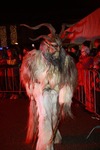 Salzkammergut - Krampuslauf 2017 14179179