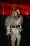 Salzkammergut - Krampuslauf 2017 14179209