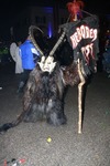 Salzkammergut - Krampuslauf 2017 14179212