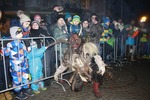 Salzkammergut - Krampuslauf 2017 14179220