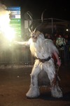 Salzkammergut - Krampuslauf 2017 14179233