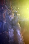 Salzkammergut - Krampuslauf 2017 14179252