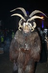 Salzkammergut - Krampuslauf 2017 14179259