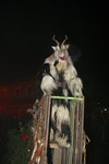 Salzkammergut - Krampuslauf 2017 14179267