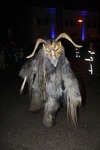 Salzkammergut - Krampuslauf 2017 14179295