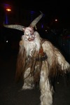 Salzkammergut - Krampuslauf 2017 14179299