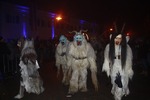 Salzkammergut - Krampuslauf 2017 14179322