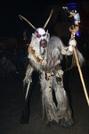 Salzkammergut - Krampuslauf 2017 14179339