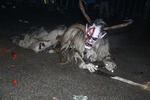 Salzkammergut - Krampuslauf 2017 14179340