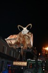 Salzkammergut - Krampuslauf 2017 14179372