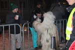 Salzkammergut - Krampuslauf 2017 14179438