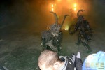 1. Liezener Krampus-Arena Showlauf 14188387