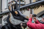 FASCHINGSUMZUG STERZING SFILATA DI CARNEVALE VIPITENO 14266178