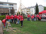 Maibaumsetzen 2006 1431128