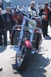 Harley Davidson Treffen 1433759