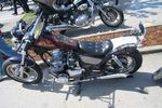 Harley Davidson Treffen 1433814