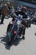 Harley Davidson Treffen 1433815