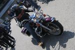 Harley Davidson Treffen 1433818