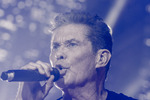 David Hasselhoff live 14356843