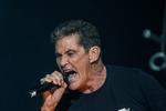 David Hasselhoff live 14356846