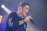 David Hasselhoff live 14356847