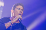 David Hasselhoff live 14356880