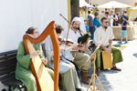 Mittelalter Fest Hainburg 14373312