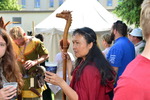 Mittelalter Fest Hainburg 14373360