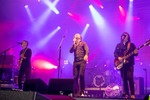 Rock im Ring 2018 14406610