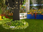 Int. Gartenbaumesse Tulln 2018 14440972