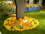 Int. Gartenbaumesse Tulln 2018 14440974